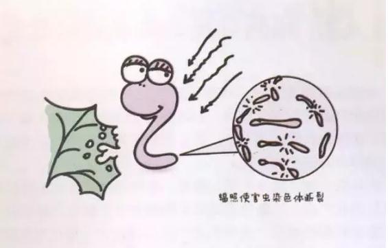 2017112220060010429.jpg 2017112220060010429.jpg